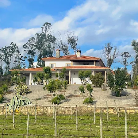 Quinta Da Paixao - Bed and Breakfast Pedraca