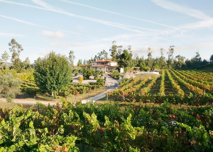 Alojamento de Acomodação e Pequeno-almoço Quinta Da Paixão -
