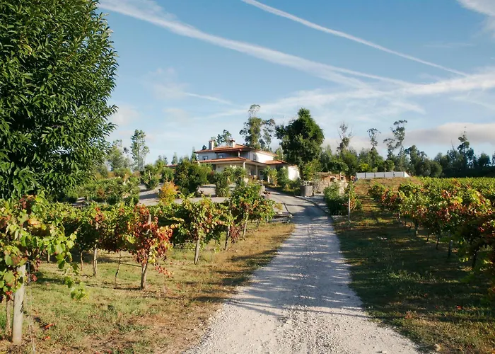 Quinta Da Paixao - Bed & Breakfast Pedraca